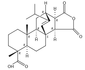 松香酸马来酰酐